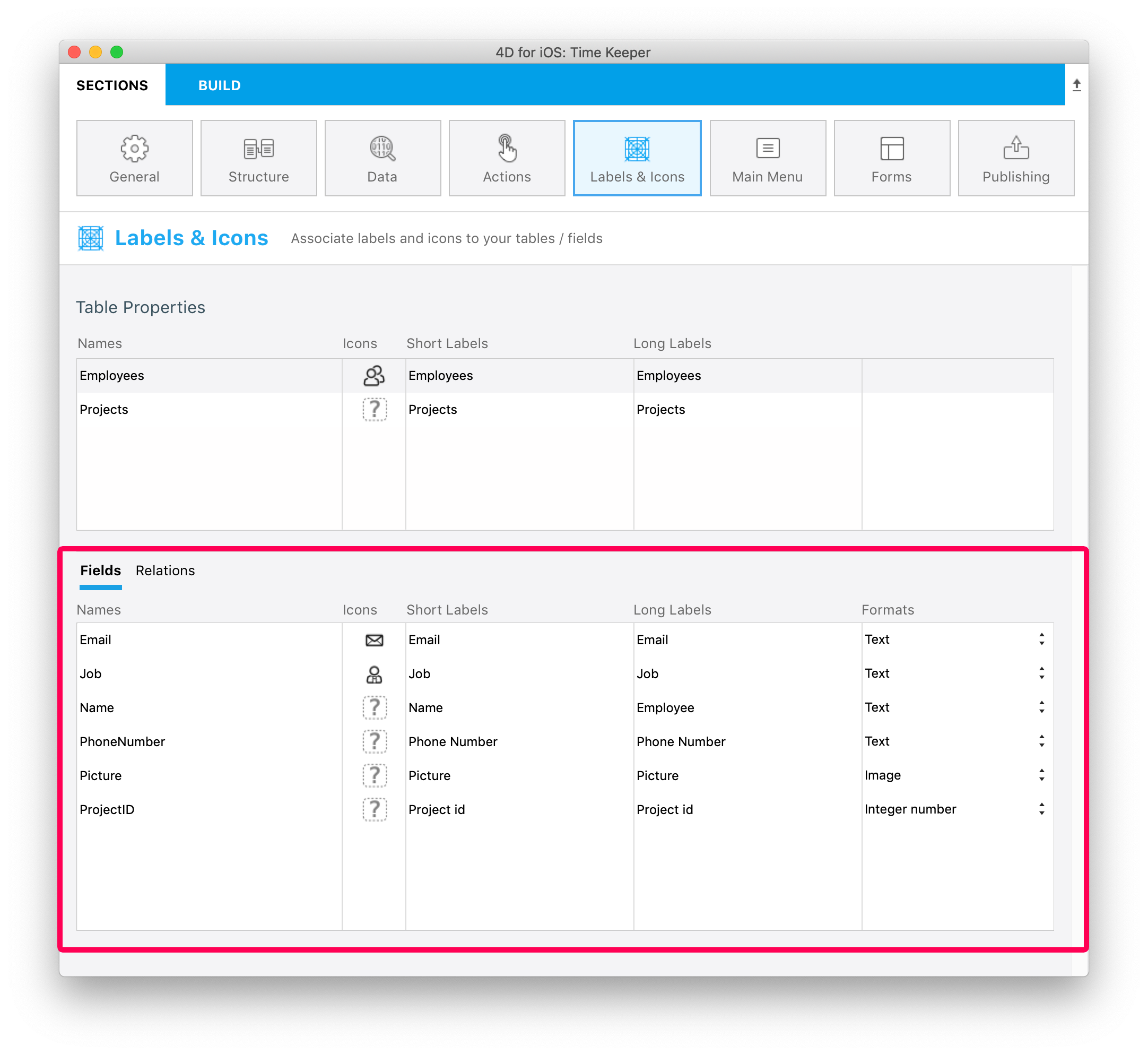 Labels & Icons section Fields properties